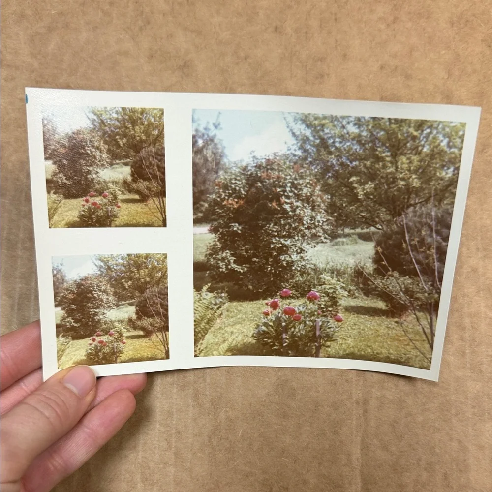 Vintage Photo Collection - Picture 8 of 11
